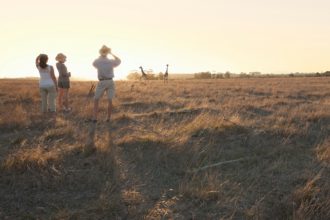 Oameni care urmăresc girafe în safari, Stellenbosch, Africa de Sud